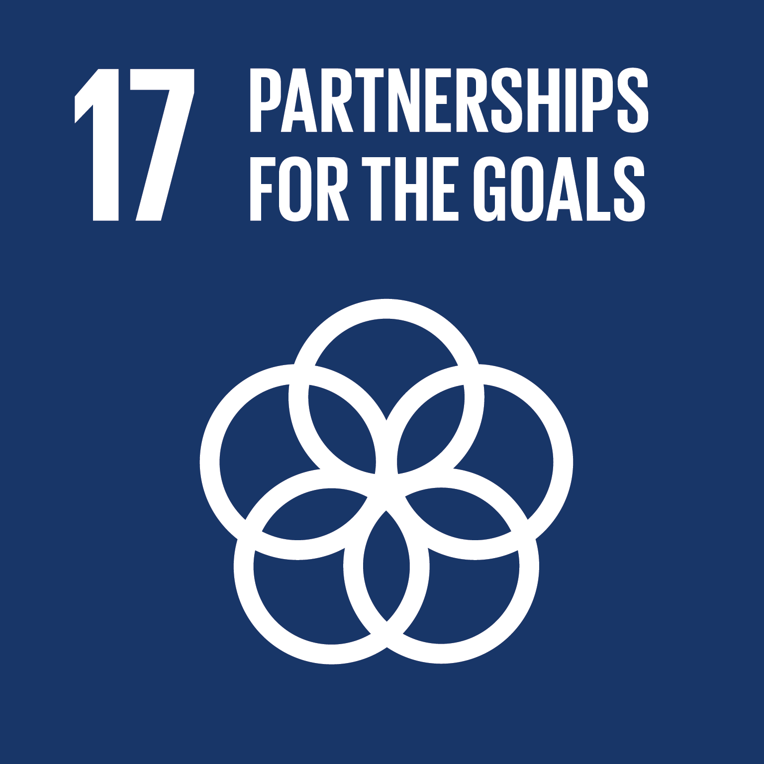 Kestävän kehityksen tavoite 17 Partnerships for the goals logo